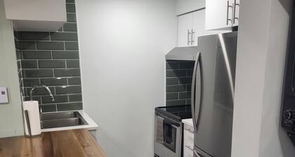 Cozy studio appartement in New Rosemont neighborhood near public transit.