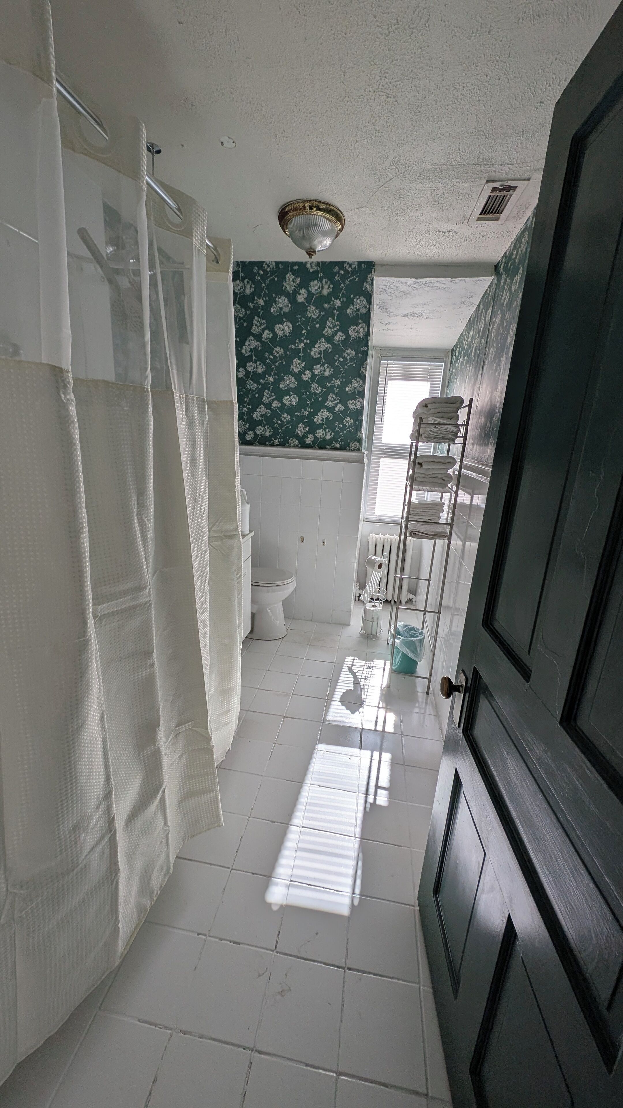 A narrow bathroom with a toilet, a shower area, and a radiator.
