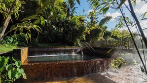 Ein naturbelassener Wasserlauf mit einer Holzbrücke und Stufen, die zu einem Teich mit üppiger Bepflanzung führen.