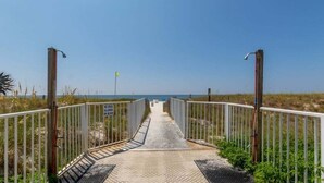 A pathway leading to a beach with a metal fence on either side and a sign indicating dogs are allowed on the beach.
