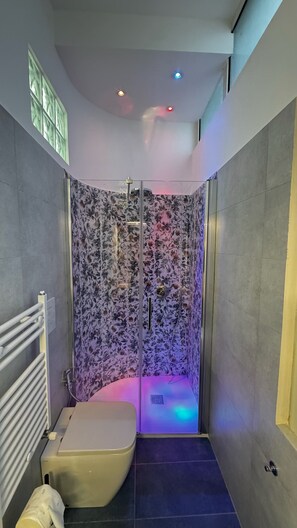 Ducha, secador de pelo, bidé y toallas
