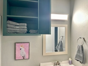 Hair dryer, towels, soap, toilet paper