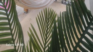 Un espace extérieur abrité, doté d’un hamac, d’un plafond en bois et de plantes en pot.