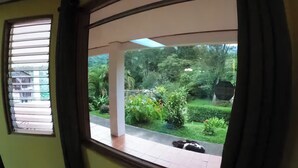 Una habitación con vistas a un jardín a través de una ventana con persianas.