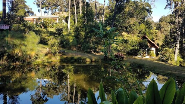 Un jardín tranquilo con un estanque, abundante vegetación y una pequeña estructura de madera.