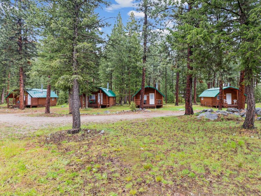 A row of log cabins in a forest, each with a green roof and surrounded by tall pine trees.