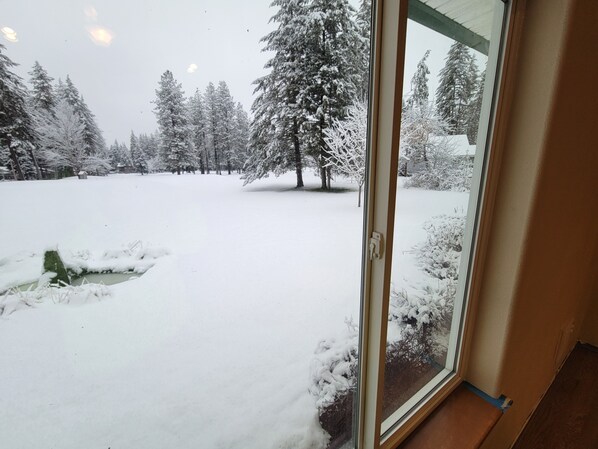 A snowy landscape with a view through a glass door, featuring snow-covered trees and a clear sky.