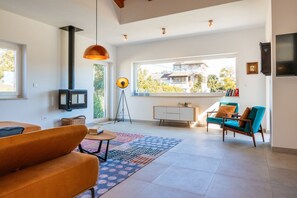 TV connectée, cheminée, livres