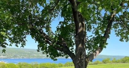 GORGEOUS SENECA LAKE & WATKINS GLEN VILLAGE VIEW!