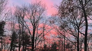 A yurt in a forest with a sunset in the background. - Yurt in Middlebury, Vermont (Middlebury)