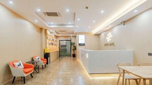 Zona de recepción de un hotel con mostrador, área de asientos con sillas, una pequeña mesa y una planta en maceta.