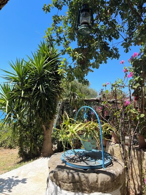 Terrain de l’hébergement 