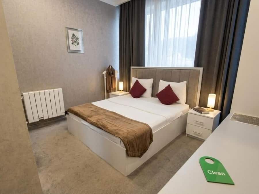 Standard Double Room, 1 King Bed, Non Smoking, City View | Premium bedding, minibar, in-room safe, individually decorated