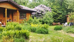 Une cabane en bois dotée d’un porche, entourée d’une végétation luxuriante et de plantes en fleurs.