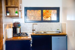 Réfrigérateur, plaque de cuisson, cafetière/bouilloire