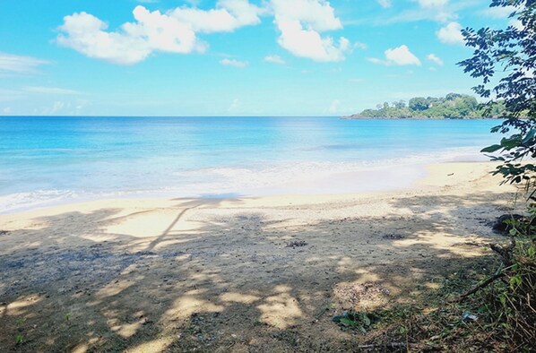 Plage à proximité, chaises longues, serviettes de plage