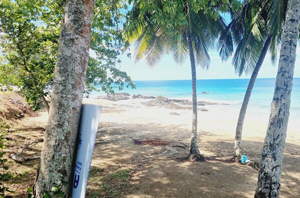 Ubicación cercana a la playa, tumbonas y toallas de playa