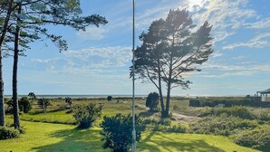 Paisatge herbaci amb un arbre gran, un penya-segada i una vista llunyana de l'oceà.