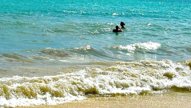 Ein Strand mit klarem türkisblauem Wasser, sanften Wellen und einem sandigen Ufer.
