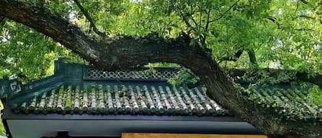 Chi tiết ngoại thất