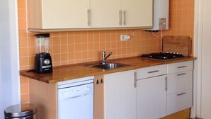 Cocina compacta con lavavajillas, pileta y cocina. Hay alacenas sobre la mesada y un basurero a la izquierda.
