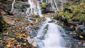 A waterfall cascading over rocks in a forested area.