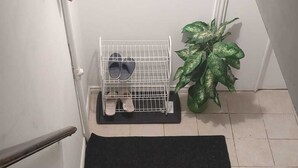 A staircase with a black mat at the bottom, a metal pet carrier on the floor, and a potted plant to the right. - Whole House: Fair Price Great Amenities (Richmond Hill)
