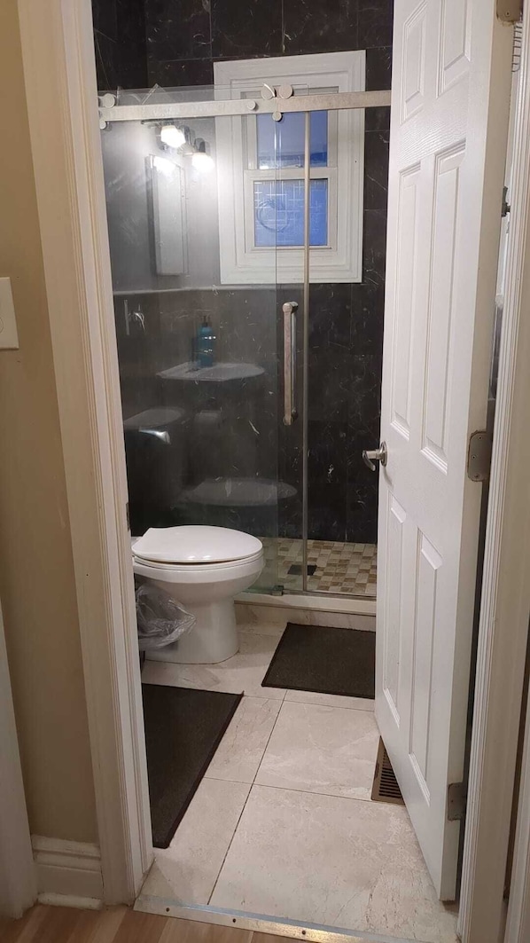 Shower, hair dryer, towels, soap - Whole House: Fair Price Great Amenities (Richmond Hill)