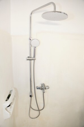 Shower, hair dryer