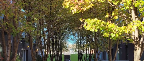 Terrein van de accommodatie