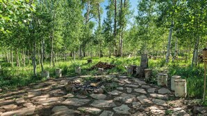 Une zone pavée de pierres, avec un foyer au centre, entouré d’arbres.