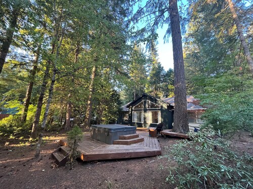 Cozy Mountain Home with Hot Tub and Wifi in Rhododendron