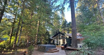 Cozy Mountain Home with Hot Tub and Wifi in Rhododendron