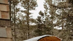 A rustic wooden cabin with a large door and two small windows, surrounded by snow and trees.