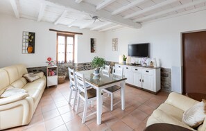 TV, fireplace, ping pong