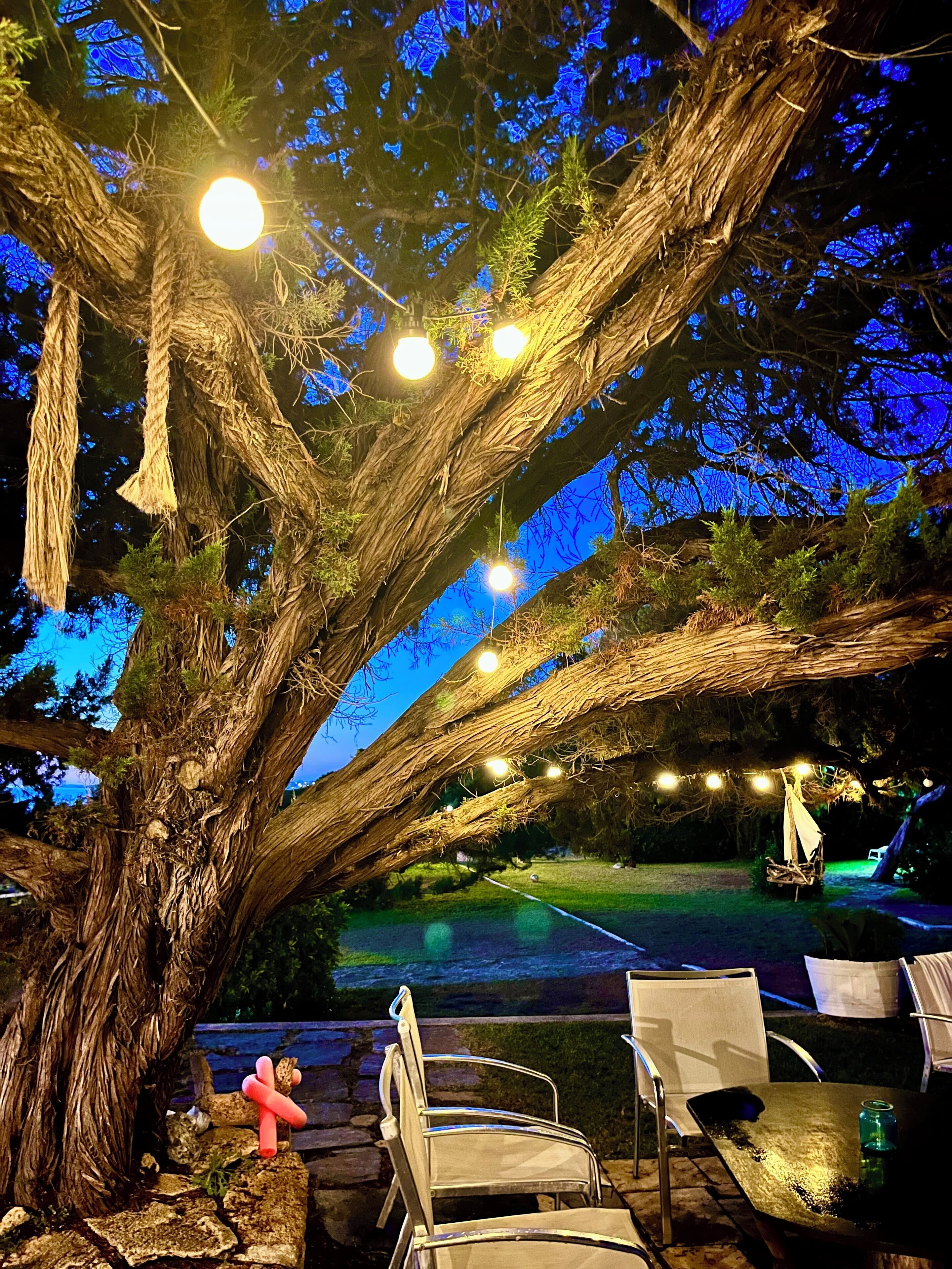 アパートメント 1 ベッドルーム 喫煙可 バルコニー | 屋外ダイニングエリア