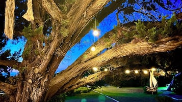 公寓, 1 间卧室, 吸烟房, 阳台 | 室外用餐