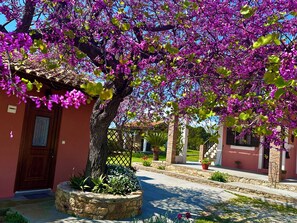 公寓, 1 间卧室, 吸烟房, 阳台 | 住宿场地