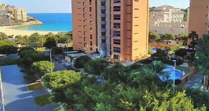 Global Sidney - By Global Rental Holidays 8753