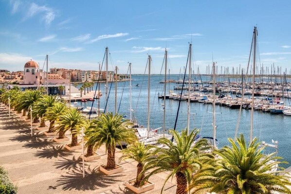 Stroll along the marina promenade lined with palm trees, offering views of sailboats docked in the calm waters.