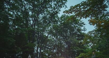 The Sasquatch Shores Lake Front Cabin
