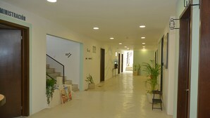 Ein Hotel-Flur mit Treppe, Topfpflanzen und Hinweisschildern.