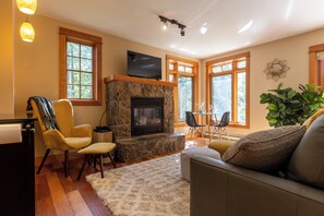 Smart TV, fireplace, books