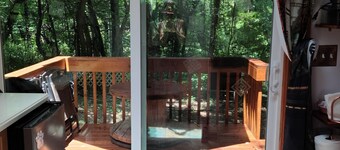 Tiny House [Fenced in yard, 10mins to Downtown AVL]