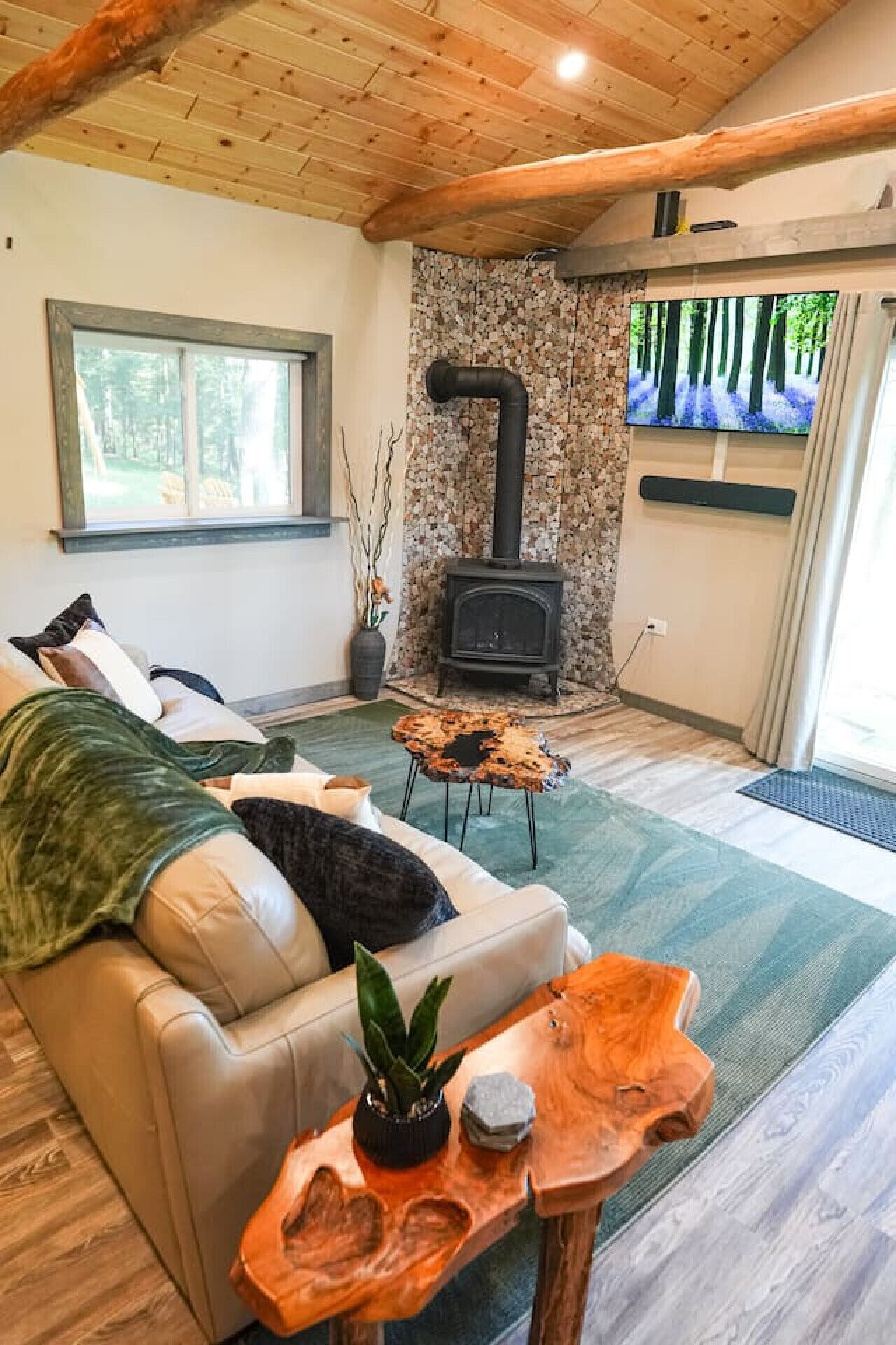 Smart TV, fireplace, books, stereo