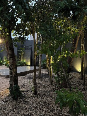 Área da propriedade