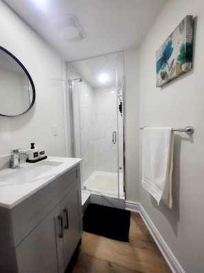 Shower, hair dryer, towels, soap
