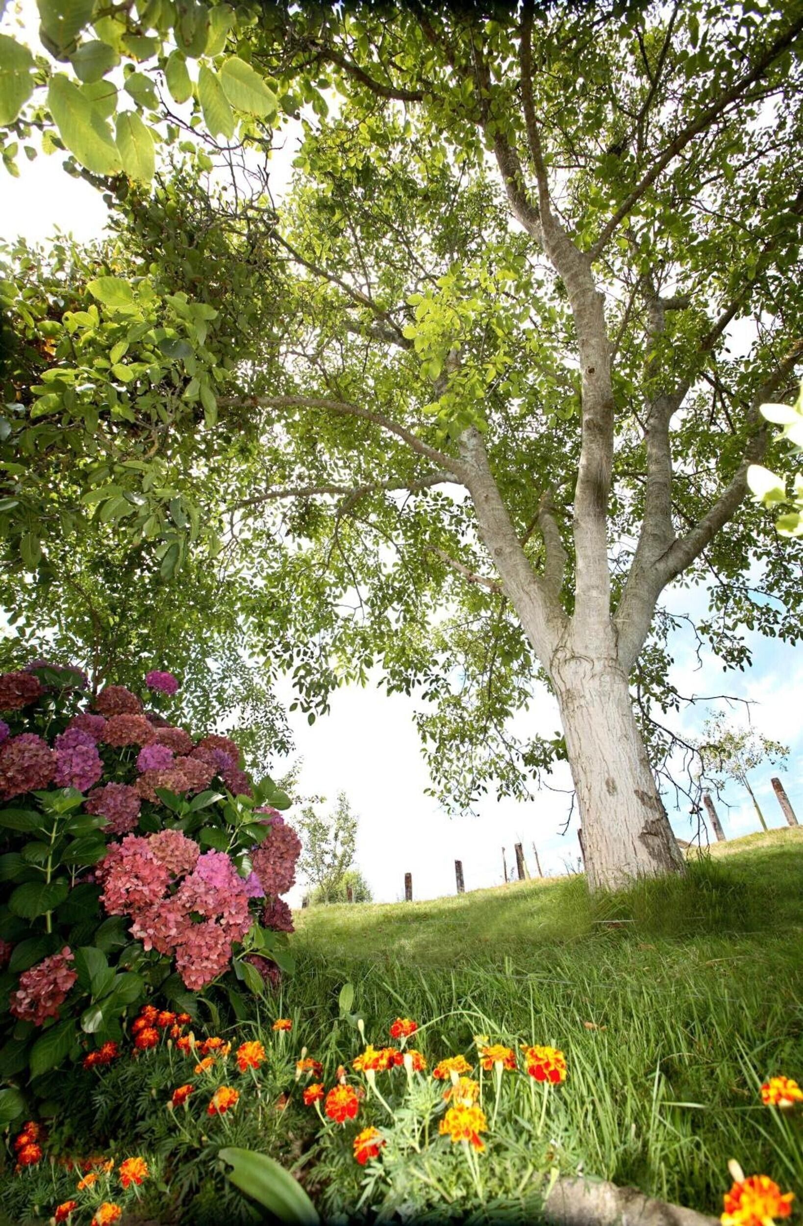 Áreas de la propiedad