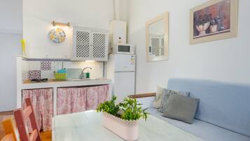A compact living space with a kitchenette, a dining table with a plant, a sofa, and a mirror.
