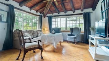 TV, fireplace, DVD player